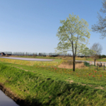 waterbufferbekken zal er zo uitzien